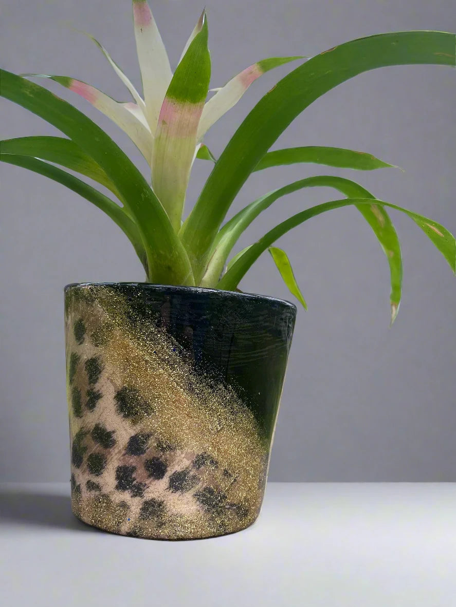 Cheetah/ Leopord Planter